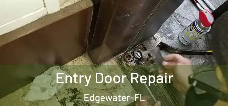 Entry Door Repair Edgewater-FL