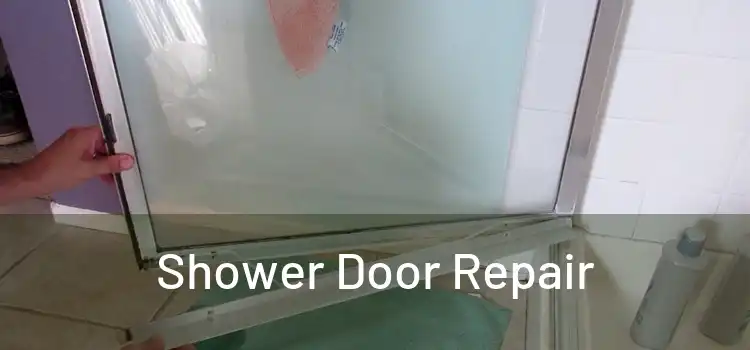 Shower Door Repair